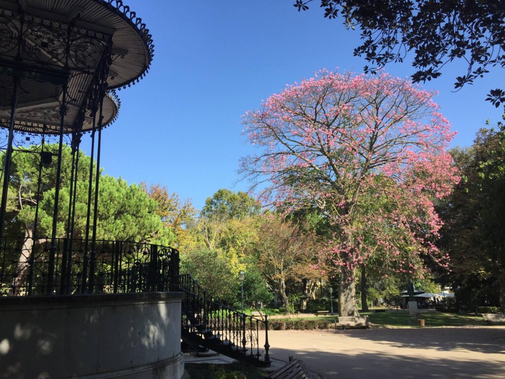 Jardim da Estrela