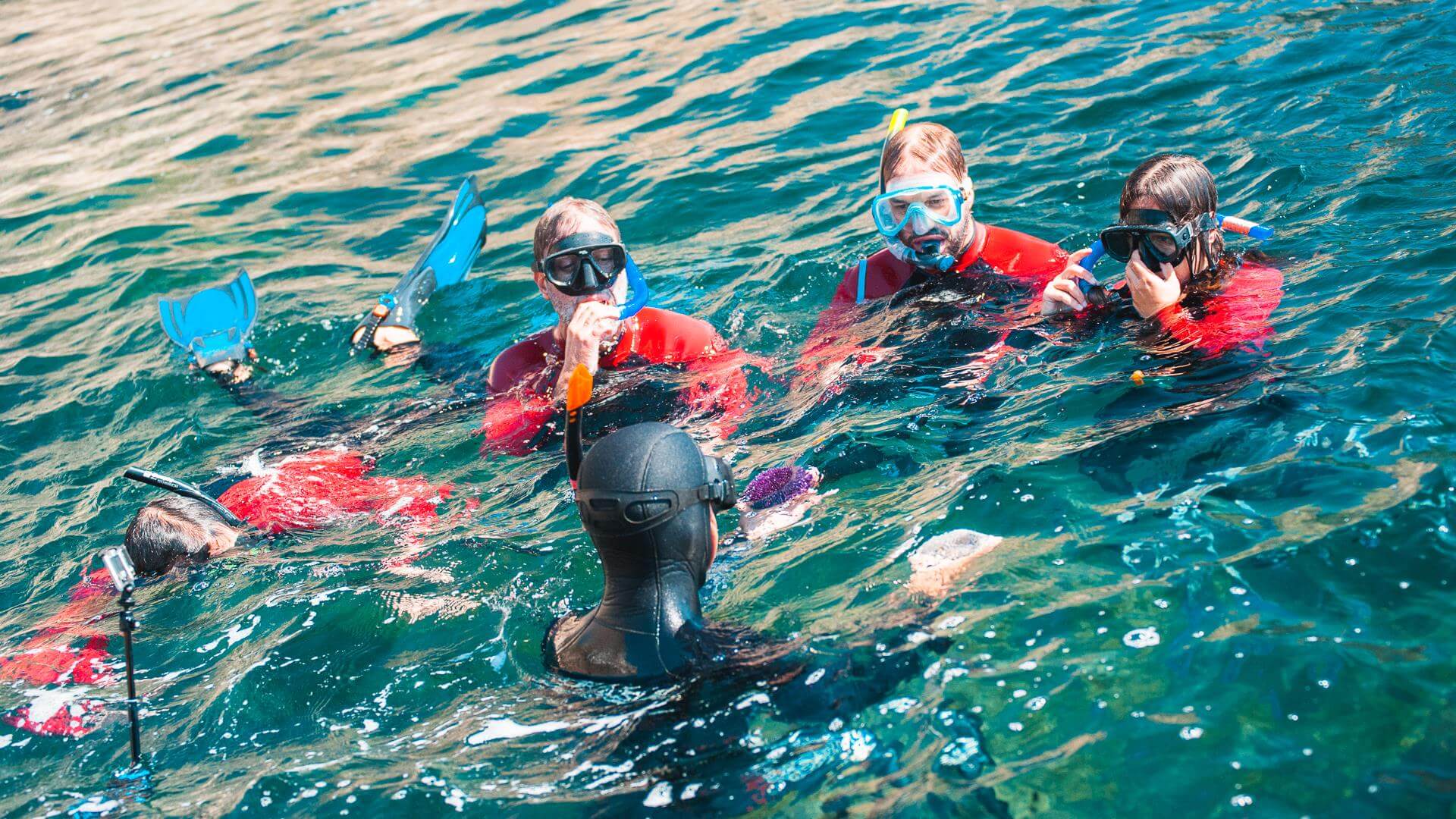 Groupe équipé pour le snorkeling dans le parc marin de l’Arrábida.