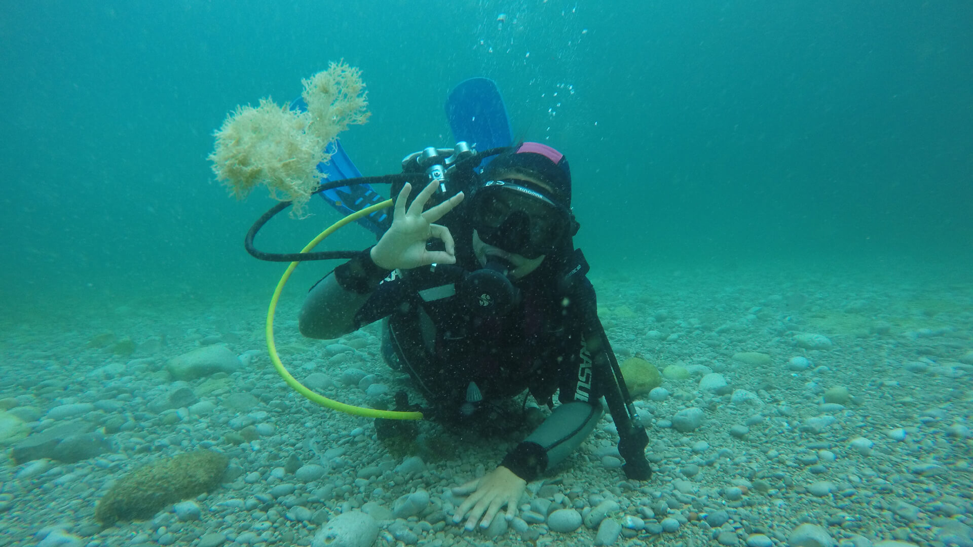 Participant équipé pendant un baptême de plongée dans l’Arrábida.