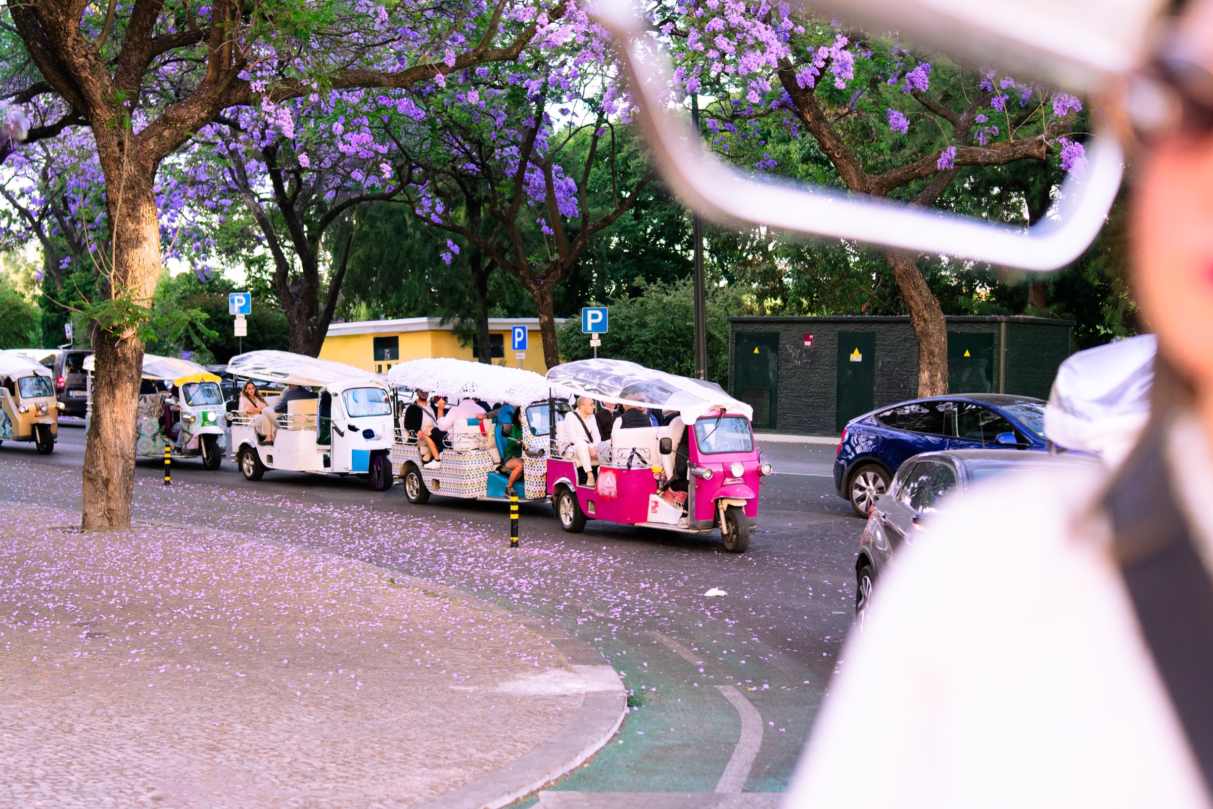Visite privée de Lisbonne en tuk-tuk sous les jacarandas