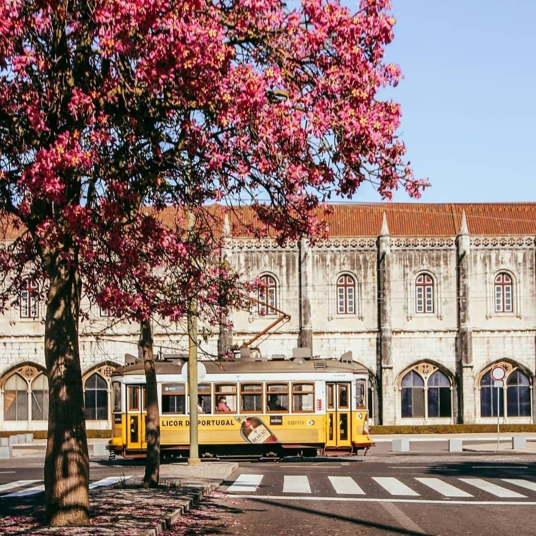 Tramway jaune devant le monastère des Jerónimos à Belém